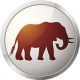 African Angels Reflective icon Elephant